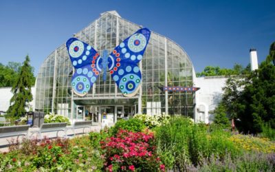 Rotary learns of programs at Krohn Conservatory